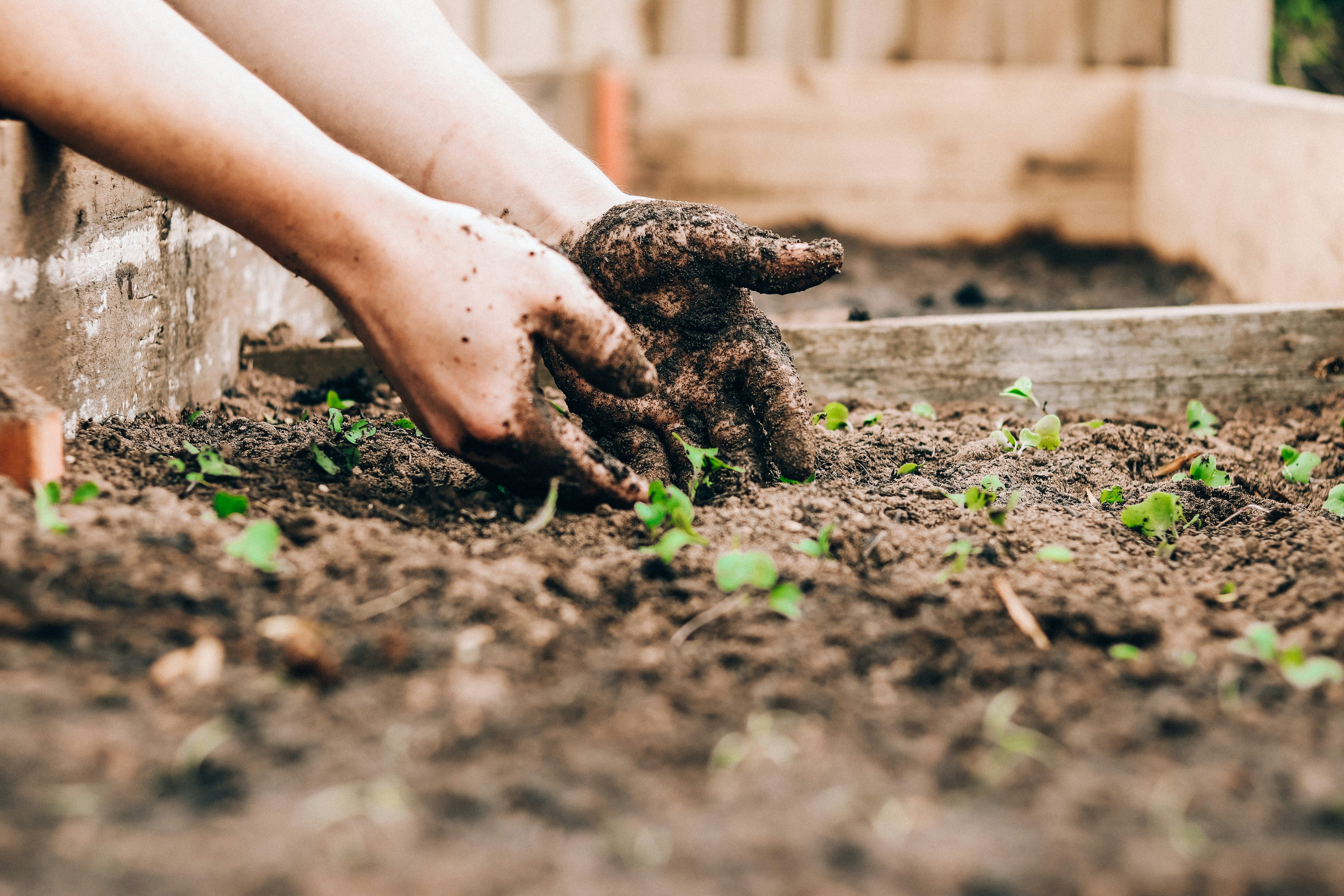 Can Regenerative Agriculture Meet Our Needs