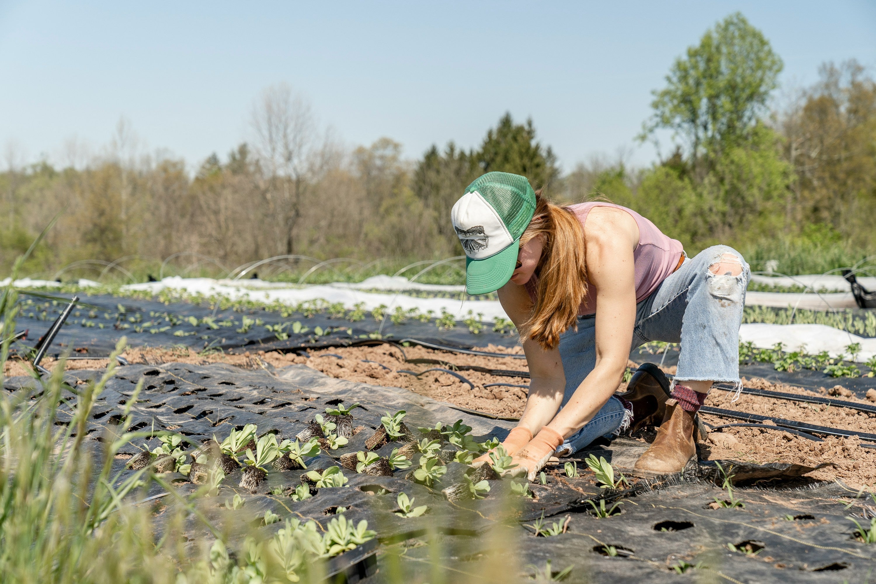Agriculture, Consolidation, and the Future of Our Rural Economy